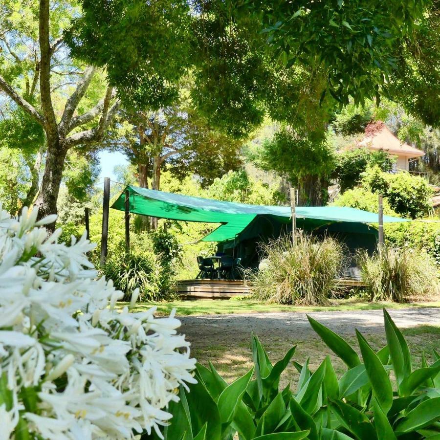Pagoda Lodge Kerikeri Luaran gambar